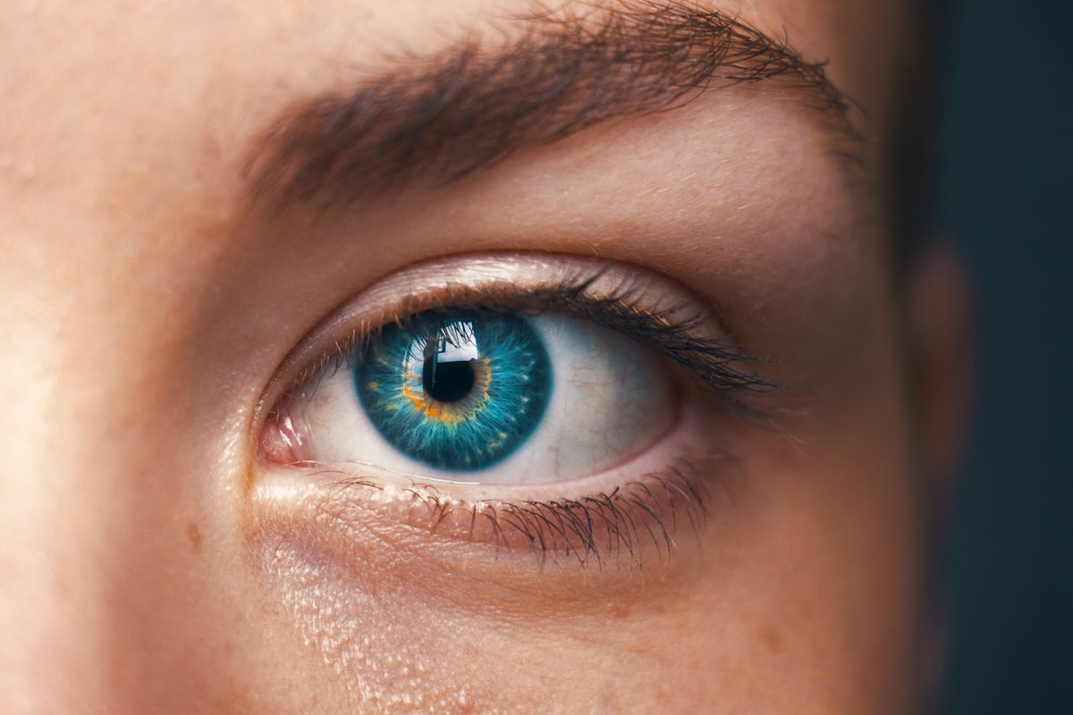 30-Day vision program structure